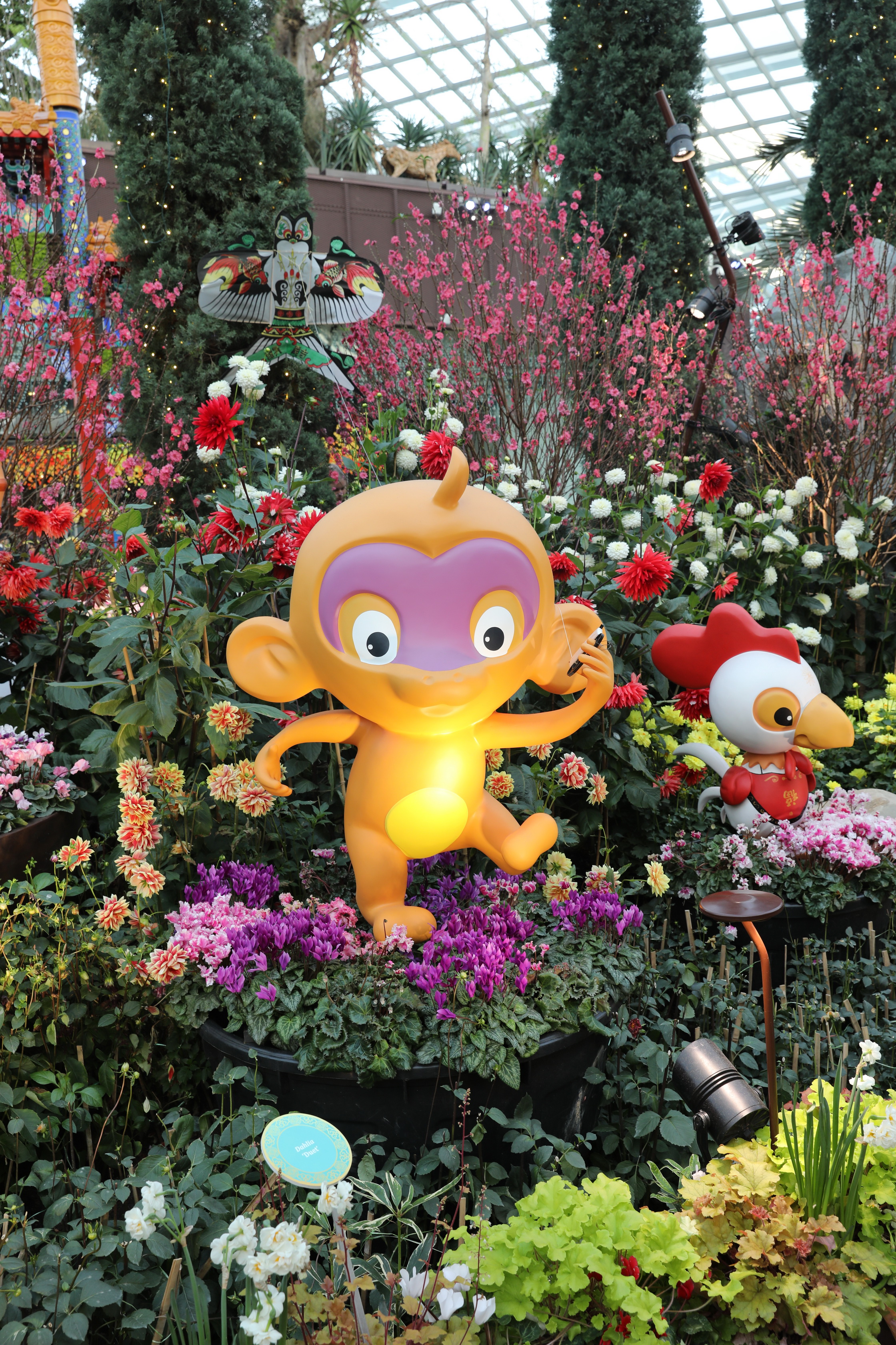 2020 02 03 18 47 00 Canon EOS 5D Mark IV 0066